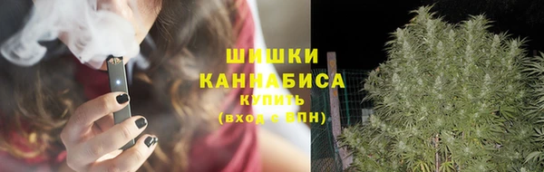а пвп мука Бородино