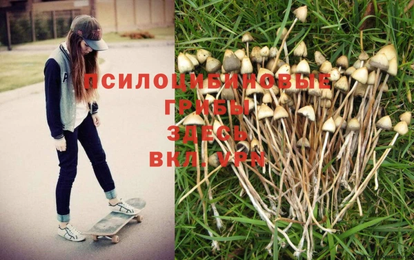 шишки Верхнеуральск