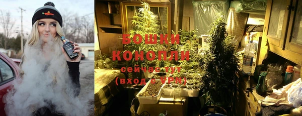 гашик Бронницы