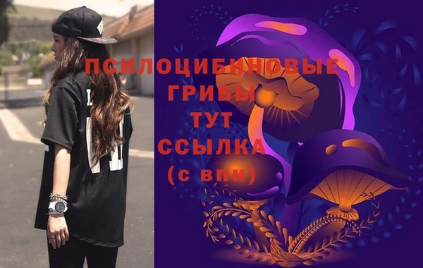 дмт Бугульма