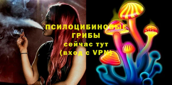 дмт Бугульма