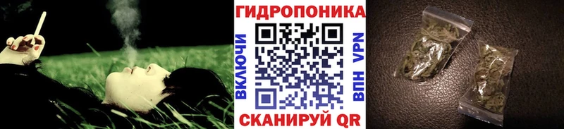 МАРИХУАНА Bruce Banner Людиново